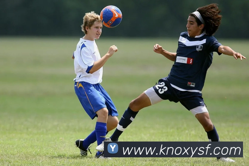 体育数据展示